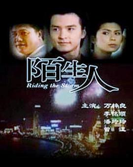 陌生人1999第01集